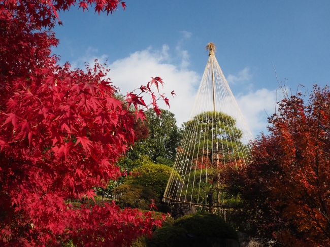 豊島区立目白庭園