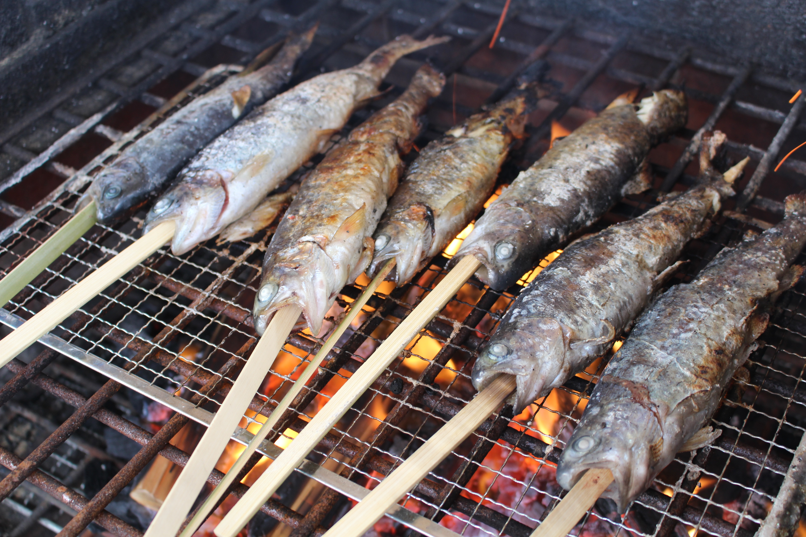 公園のじゃぶじゃぶ池が ニジマス釣り に変身 釣って 食べられる釣り堀が19年11月9日 土 期間限定で開催中 横須賀市長井海の手公園 ソレイユの丘 西武造園株式会社のプレスリリース
