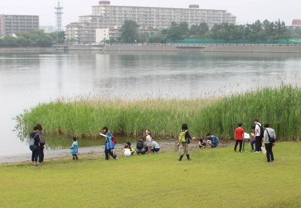 当日は入館無料！自然環境や生物多様性について体験できる「世界湿地の日まつり2020」2月9日（日）開催（習志野市谷津干潟自然観察センター）