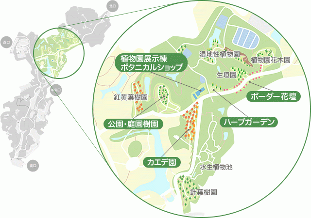 都市緑化植物園マップ（国営武蔵丘陵森林公園）
