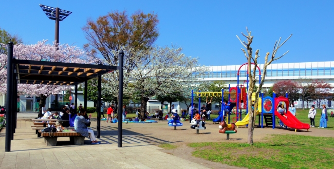 横浜市新杉田公園