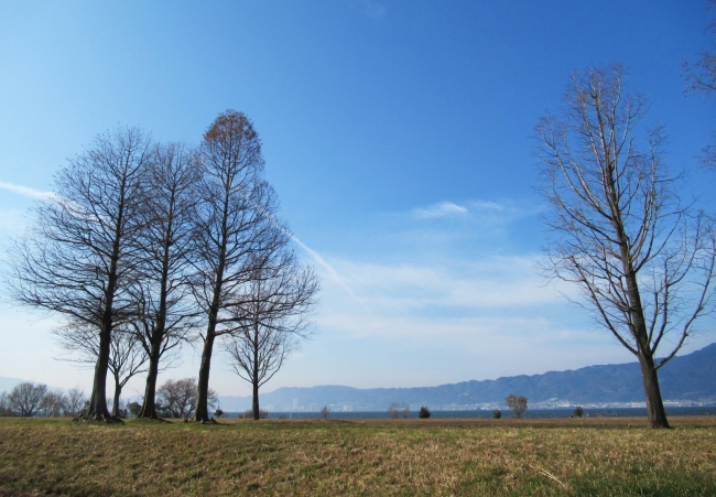 琵琶湖に面した広場が会場予定（滋賀県営都市公園湖岸緑地 志那-1公園）