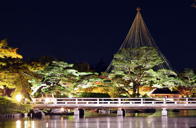「秋の夜散歩（あきのよさんぽ）」では日本庭園のライトアップをお楽しみいただけます