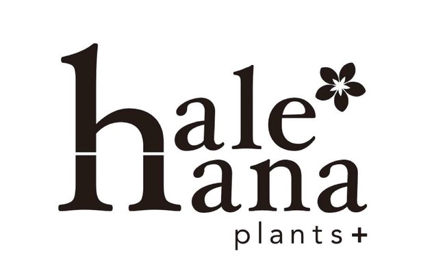 hale-hana plants+（ハレハナ　プランツプラス）
