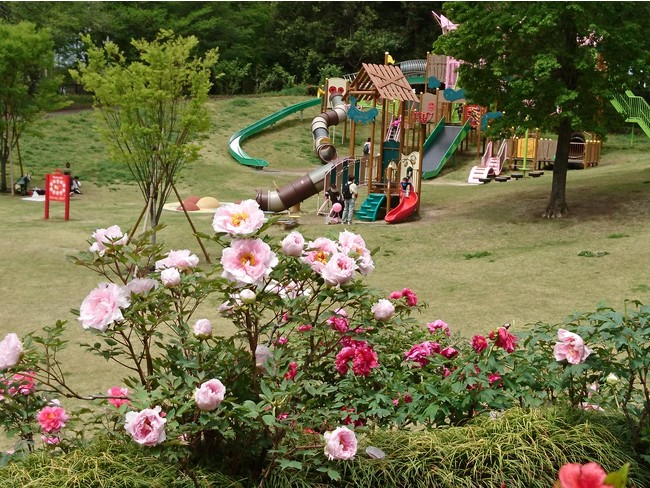 園内には遊具施設などもあり、ぼたんの開花時期以外は無料で利用できる