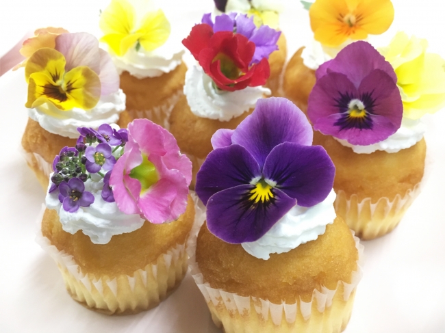 食べられる花 を使った寄せ植え 公園での出張農業講座を22年3月日 日 開催 西武アグリ株式会社 西武造園株式会社のプレスリリース