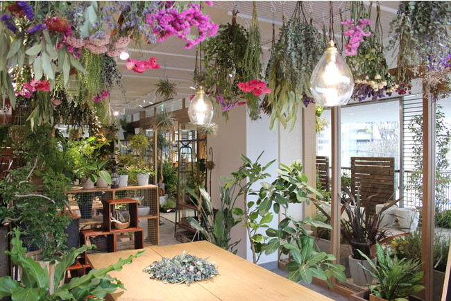 「hale-hana plants+」店舗