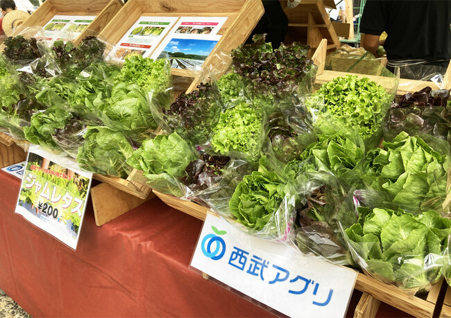 埼玉県内の農園で育てた「ジャムレタス」を販売！