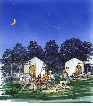 広大な星空を楽しむことができる豊かな自然環境 ※イメージ 広大な星空を楽しむことができる豊かな自然環境 ※イメージ