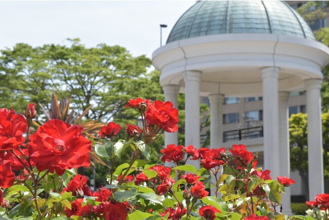 フランス式花壇が特徴的な園内で、ぜひ写真撮影をお楽しみください