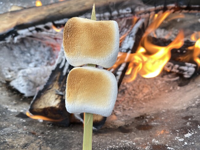 焚き火といえば焼きマシュマロ！とろとろ、熱々でお召し上がりください