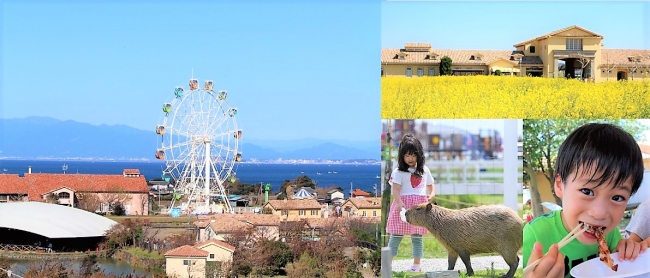 三浦半島で観られるのはここだけ 鳥たちが大空を飛び交う迫力の