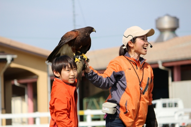 ショーの中でタカキャッチできるかも！？