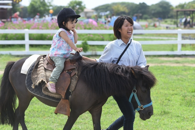 ポニー乗馬