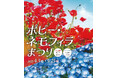【入園無料】標高約70mの「天空の花畑」でネモフィラが見頃!5月は約100万本のポピーも見頃に(横須賀市くりはま花の国)