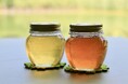“はちみつの日”8月3日(日)特別企画!今年の春・夏に採れたはちみつの食べ比べなど開催(習志野市谷津干潟自然観察センター)