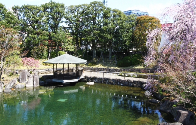 豊島区立目白庭園