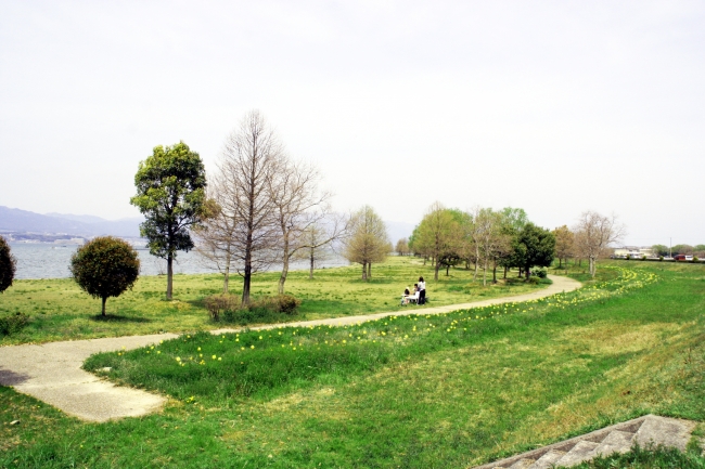 琵琶湖の近くの公園で 木の上から景色を一望 木登り体験イベント ツリーイング 19年6月8日 土 9日 日 開催 滋賀県営都市公園湖岸緑地 西武造園株式会社のプレスリリース