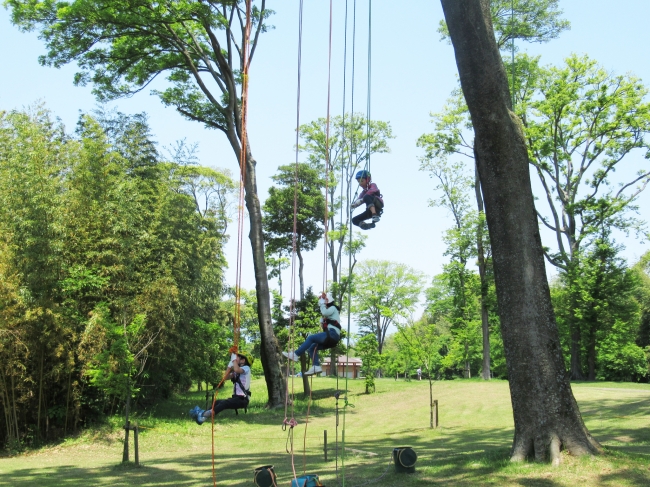 琵琶湖の近くの公園で 木の上から景色を一望 木登り体験イベント ツリーイング 19年6月8日 土 9日 日 開催 滋賀県営都市公園湖岸緑地 西武造園株式会社のプレスリリース