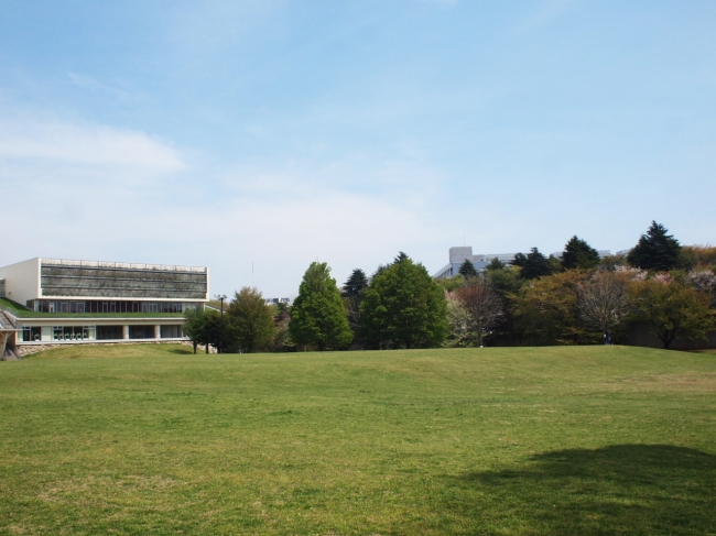 埼玉県営和光樹林公園（芝生広場）