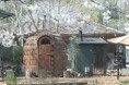 桜の木の下で4種のアウトドアサウナをエンジョイ。3月29日〜30日に開催されるCOMORIVER「お花見サウナフェス」のコンテンツを発表します
