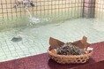 秩父湯元 武甲温泉が、梅雨明け後の暑さ対策として横瀬町産の廃棄茶葉を使用した「納涼水風呂」を開始します