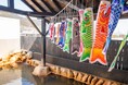 おふろcafe 白寿の湯の露天風呂にて、端午の節句の「こいのぼり風呂」を開催します。