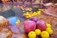 11/26 いい風呂の日、群馬・埼玉県境の日帰り温泉「おふろcafe 白寿の湯」にて両県名産品を使った「ゆずりんご風呂」を開催