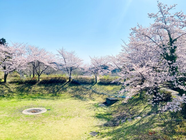 桜にくるりと囲まれた400平方メートルの空間を独り占め！ オーパークおごせが貸切お花見キャンプサイトの予約受付を開始