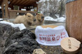 昭和レトロな温泉銭湯 玉川温泉と埼玉県こども動物自然公園がコラボ。冬の風物詩「カピバラ温泉」に玉川温泉の源泉をお届けします!