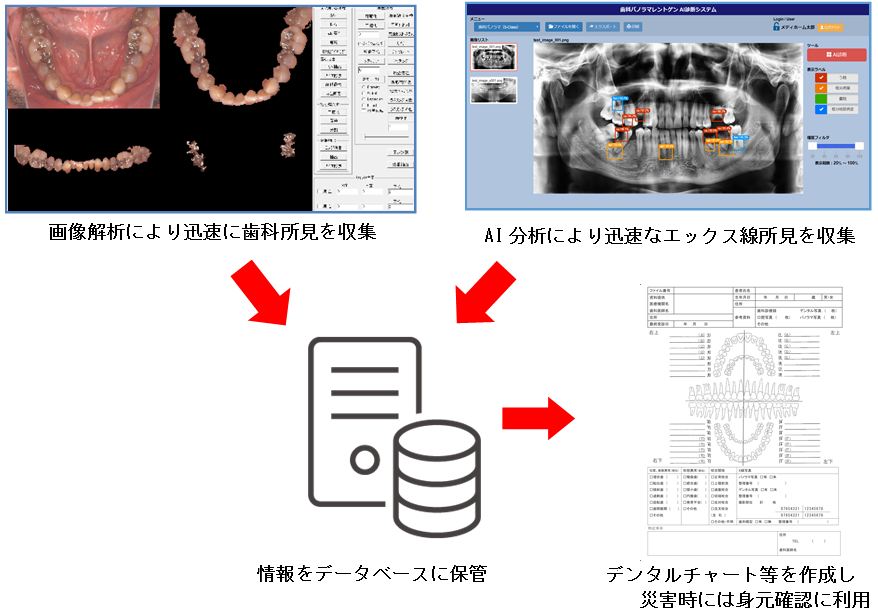 南海トラフ大地震などに備えAI・画像解析で歯科所見から身元確認を迅速化