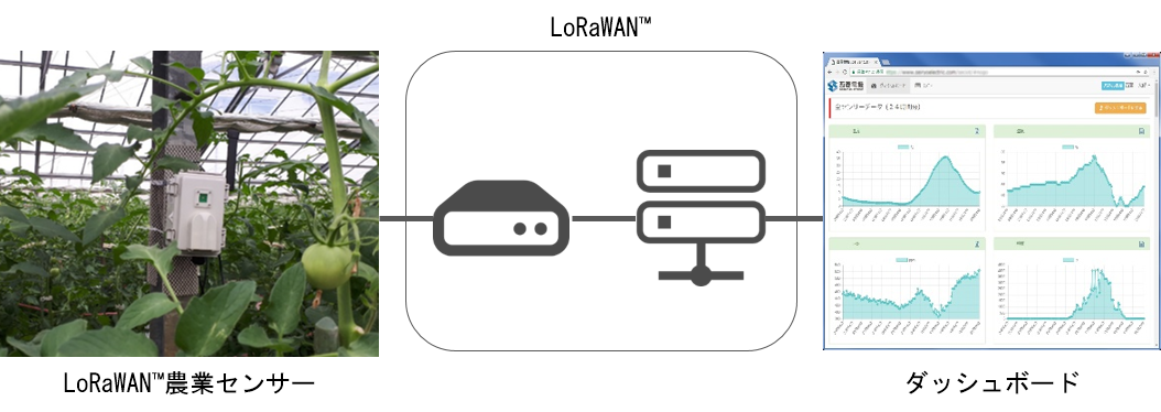 Lorawan を活用した農業iotでトマト栽培環境の数値化 Seiryo Business Platform が提供する農業iotで収益改善を実現 西菱電機株式会社のプレスリリース