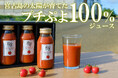 宮古島の太陽が育てた、まるでフルーツのような甘さ。「プチぷよ」100％使用の無添加トマトジュースを新発売