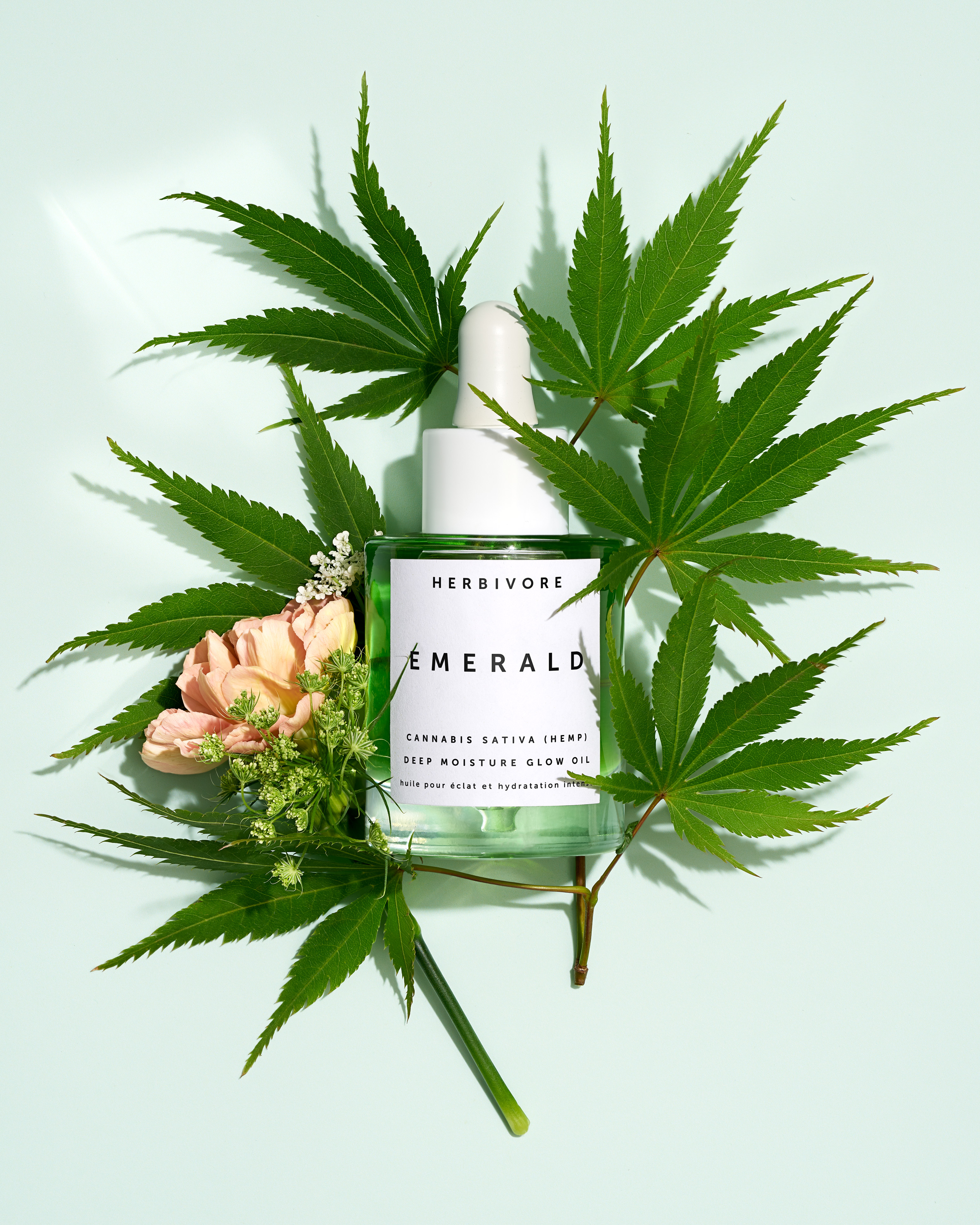 2020年は「アダプトゲン」配合のスキンケアがブームに!?アダプトゲンとヘンプシードオイルが配合された美容オイルが日本上陸