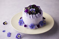 紫に恋するバレンタイン　オーガニックシュガーで仕立てた、花咲くフラワーケーキ「バレンタイン パープルホワイトチョコレート・ストロベリーショートケーキ」