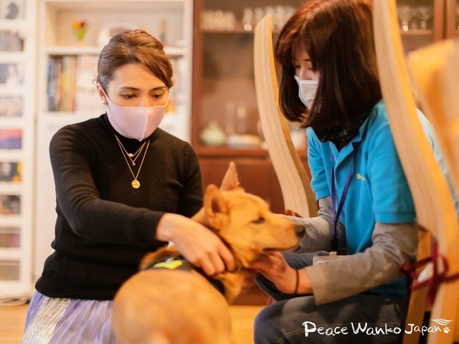 盲目の保護犬 ウヴェ 特別な出会いで家族に ハンディキャップ犬の譲渡拡大目指す ピースウィンズ ジャパンのプレスリリース