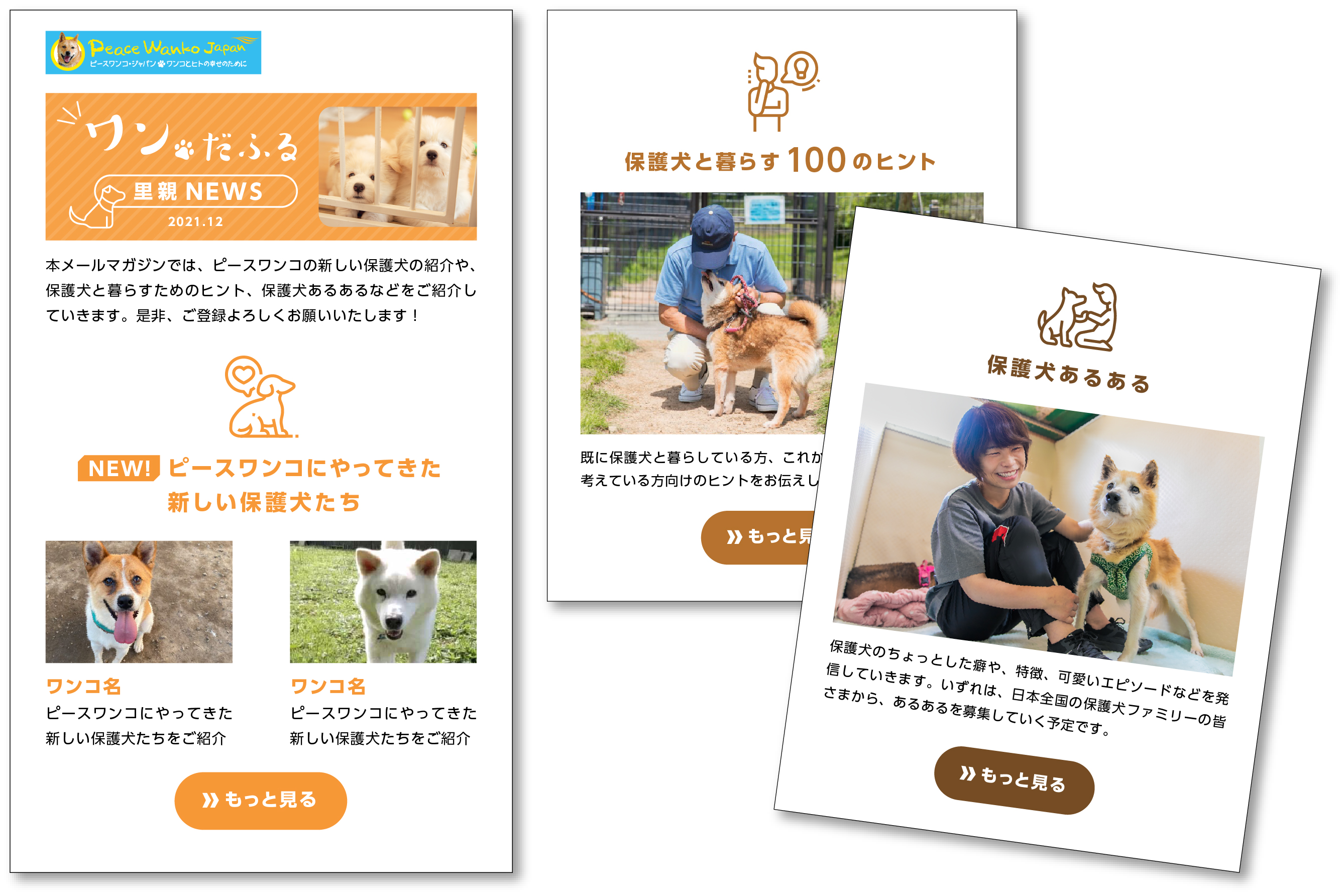 保護犬の里親になることを検討されている方向けのメールマガジンを開始 ピースワンコ ジャパン