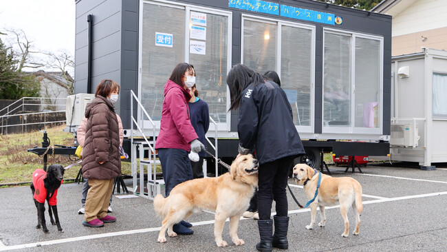 ピースワンコ・ジャパン×THE DOG COMPANY、能登半島地震・ペット支援で