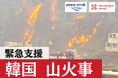 【韓国 山火事】緊急支援を開始。日本国内からチームを追加派遣
