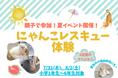 「夏休みスペシャル・子どもスタッフによる保護猫譲渡会」開催のお知らせ