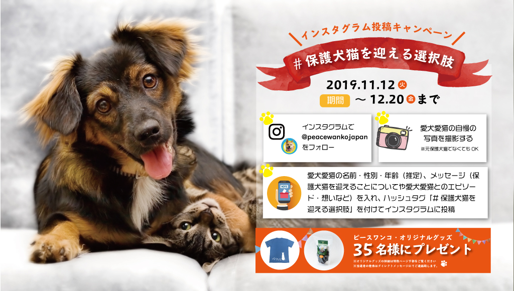 保護犬猫を迎える選択肢 Instagram投稿キャンペーン 11月12日から開始 ピースウィンズ ジャパンのプレスリリース