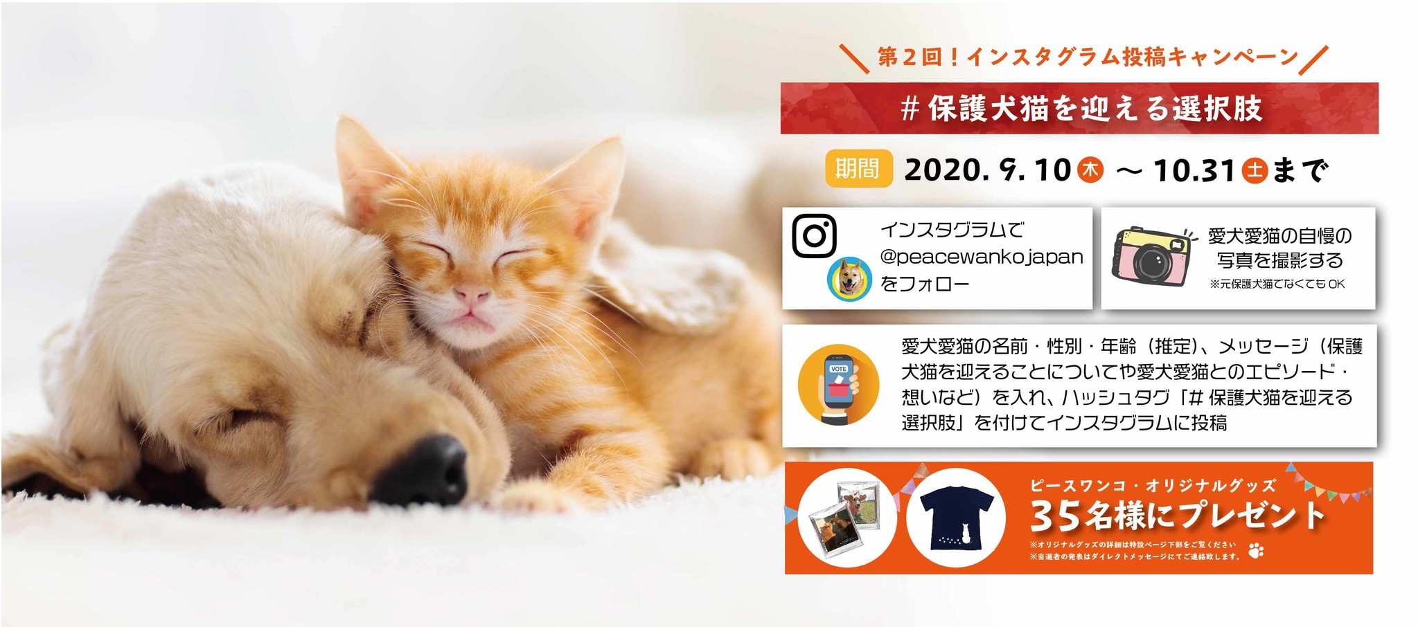 第2回 保護犬猫を迎える選択肢 Instagram投稿キャンペーン開催 ピースウィンズ ジャパンのプレスリリース