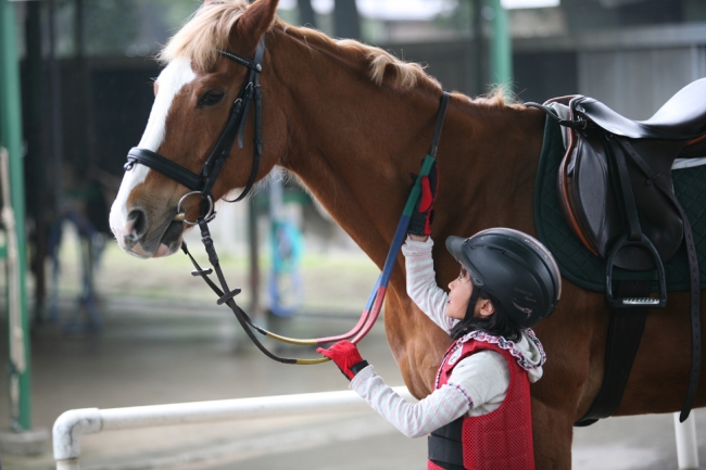 乗馬は動物と一緒にできる唯一のスポーツです
