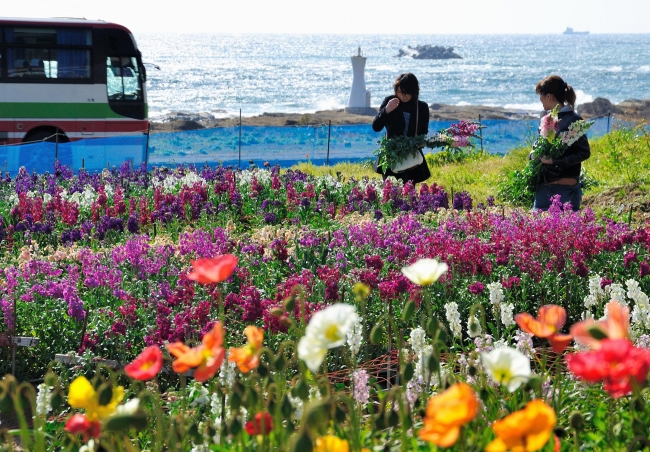 過去の受賞作　白間津の花畑