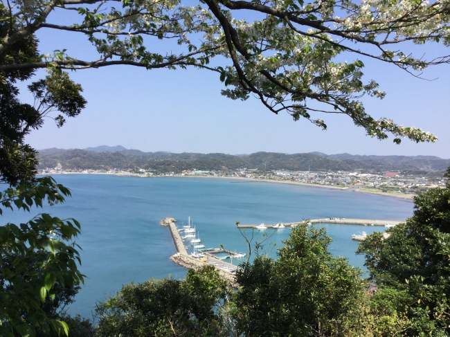 大房岬自然公園から見える富浦漁港