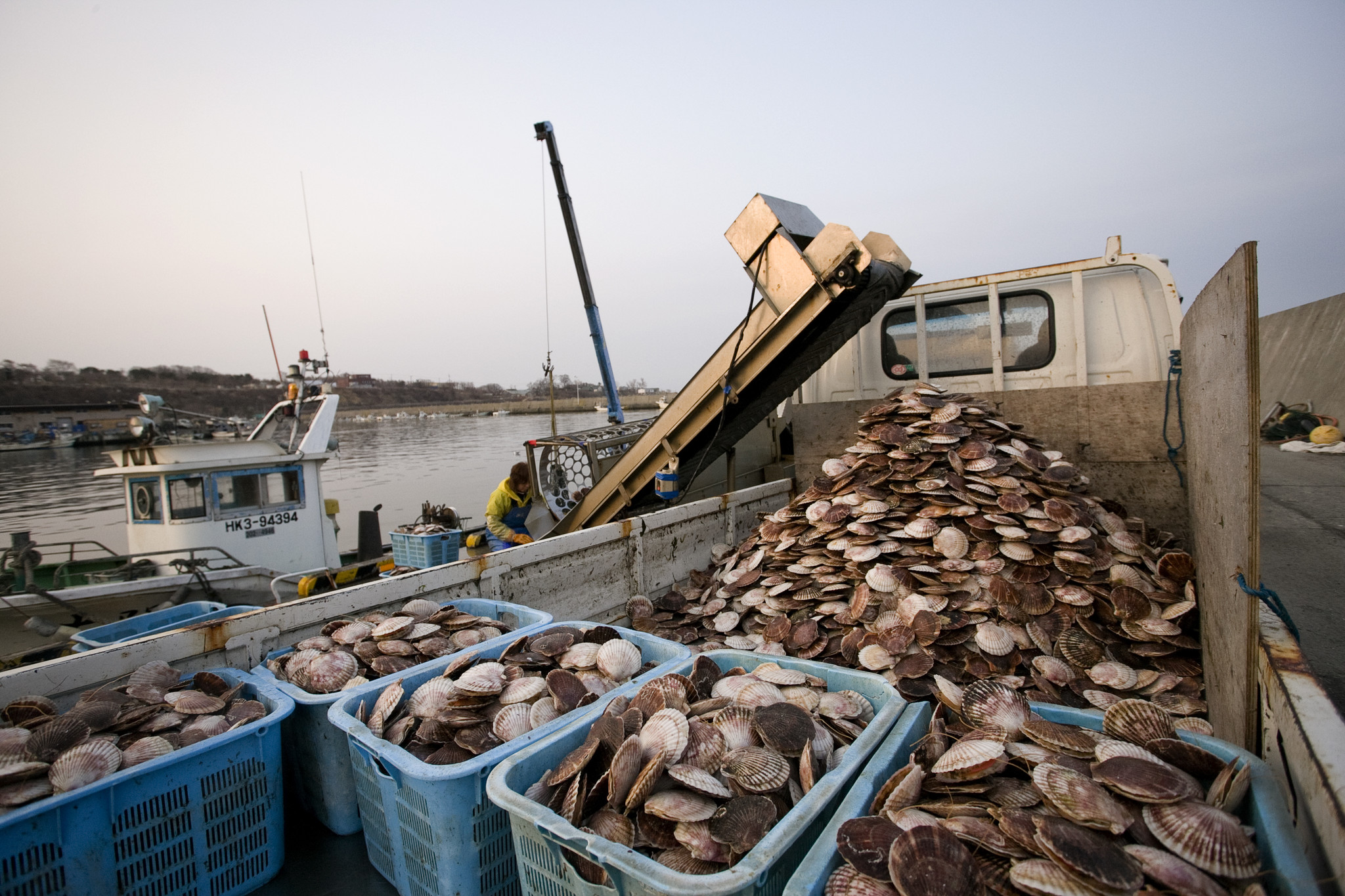 北の味紀行と地酒 北海道 が 北海道 を応援 株式会社レインズインターナショナル Cwカンパニーのプレスリリース
