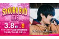 【セレッソ大阪】3/8(土)名古屋戦 スタジアム場外でSAKURA BUD LIVE実施のお知らせ