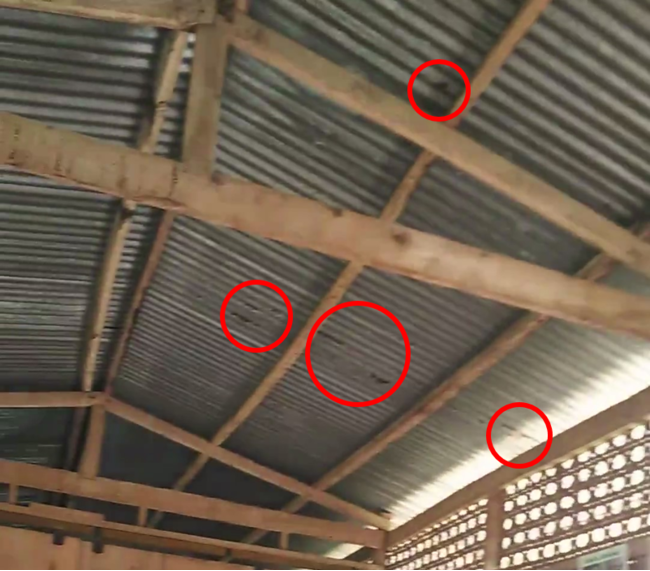 2019年2月当時の校舎の屋根。赤丸部分は錆びて穴があいている