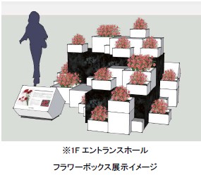 Ginza Flower Letters 第5便 母の日にカーネーションを贈ろう 色とりどりの国産カーネーション が銀座を彩る ソニー企業株式会社のプレスリリース