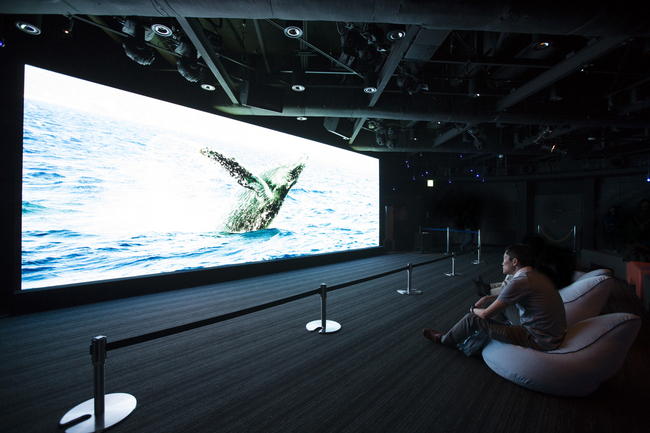 47th Sony Aquarium」 夏休み、ソニーのテクノロジーで楽しむ美ら海の生き物と自然の数々 | ソニー企業株式会社のプレスリリース